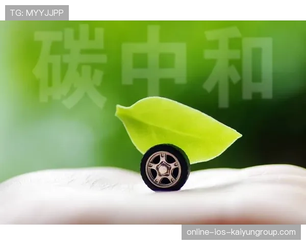 俱乐部积极布局“青少年+产业链+绿色生态”新格局,行业绿色转型在即 俱乐部积极布局“青少年+产业链+绿色生态”新格局,行业绿色转型在即